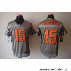 Nike Chicago Bears 15 Brandon Marshall Grey Elite Shadow NFL Jersey