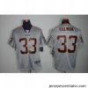 Nike Chicago Bears 33 Charles Tillman Grey Elite Lights Out NFL Jersey